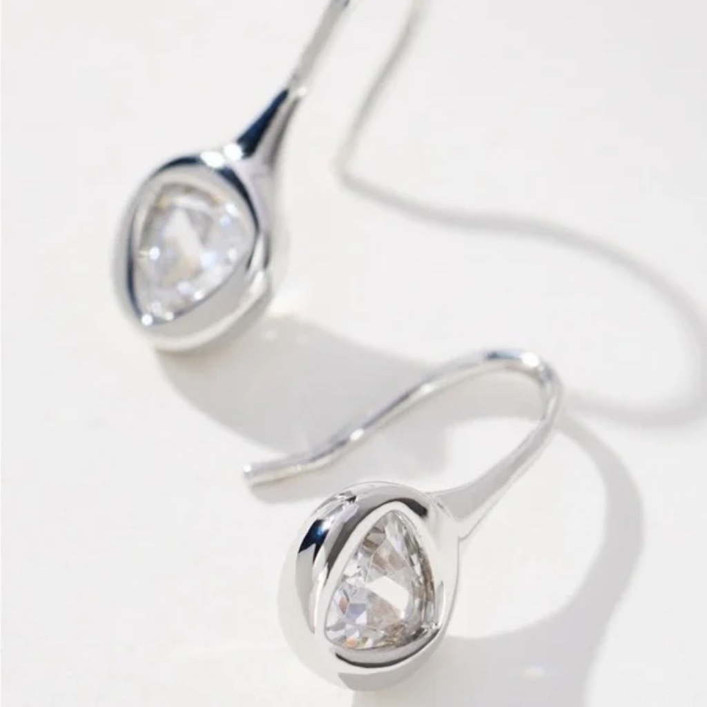 Anthropologie Dainty Fish Hook Earrings Nwt